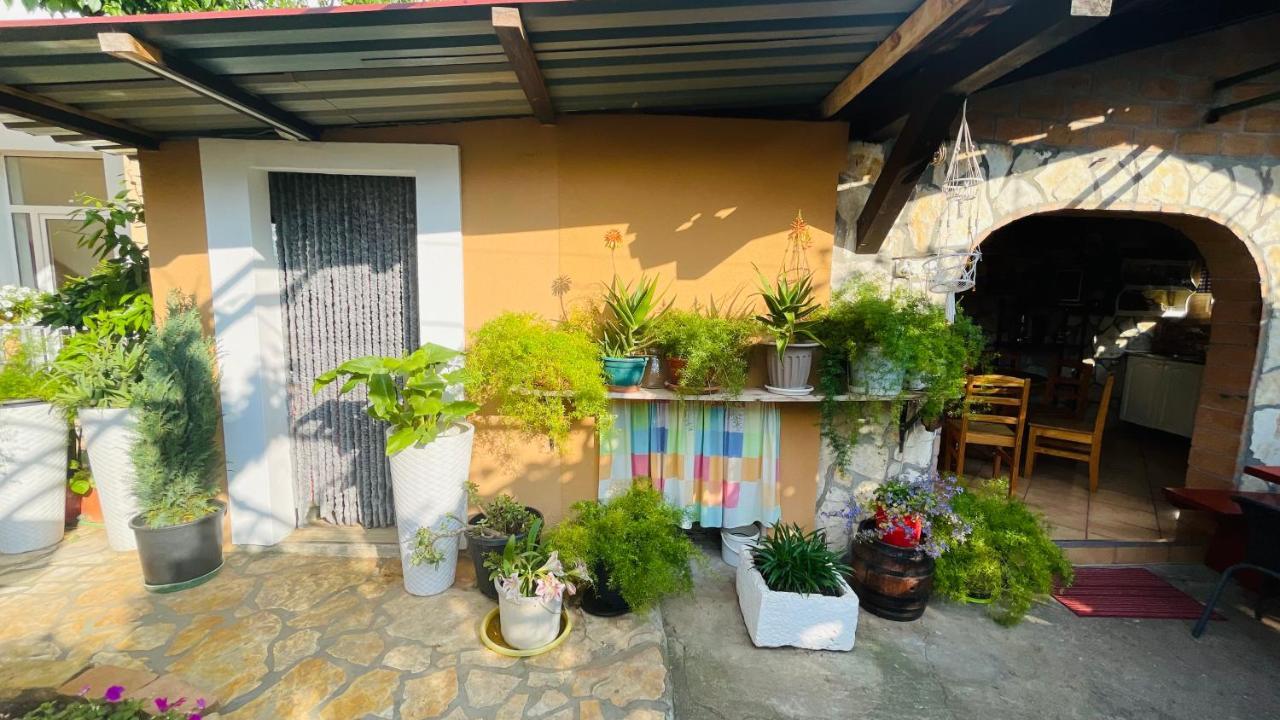 Colorful And Happy Apartment Sukosan - With Parking Bagian luar foto